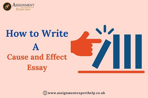 How to Write A Cause and Effect Essay | Assignment Expert Help