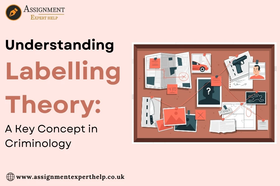 Understanding Labelling Theory: A Key Concept in Criminology ...